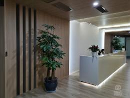 建筑公司辦公室木紋膜裝修案例展示-PVC裝飾貼膜